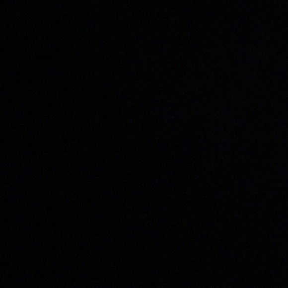 Meet your Posher, Abby - Picture 1 of 1